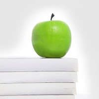 zeplanner_manual